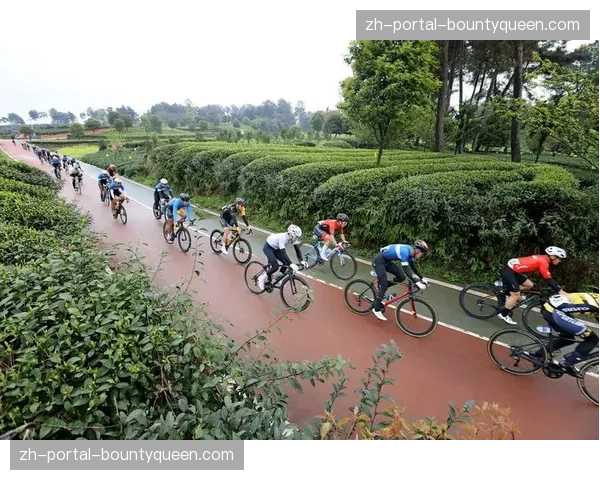 商业开发重点由核心赛事向训练与生活方式内容扩展